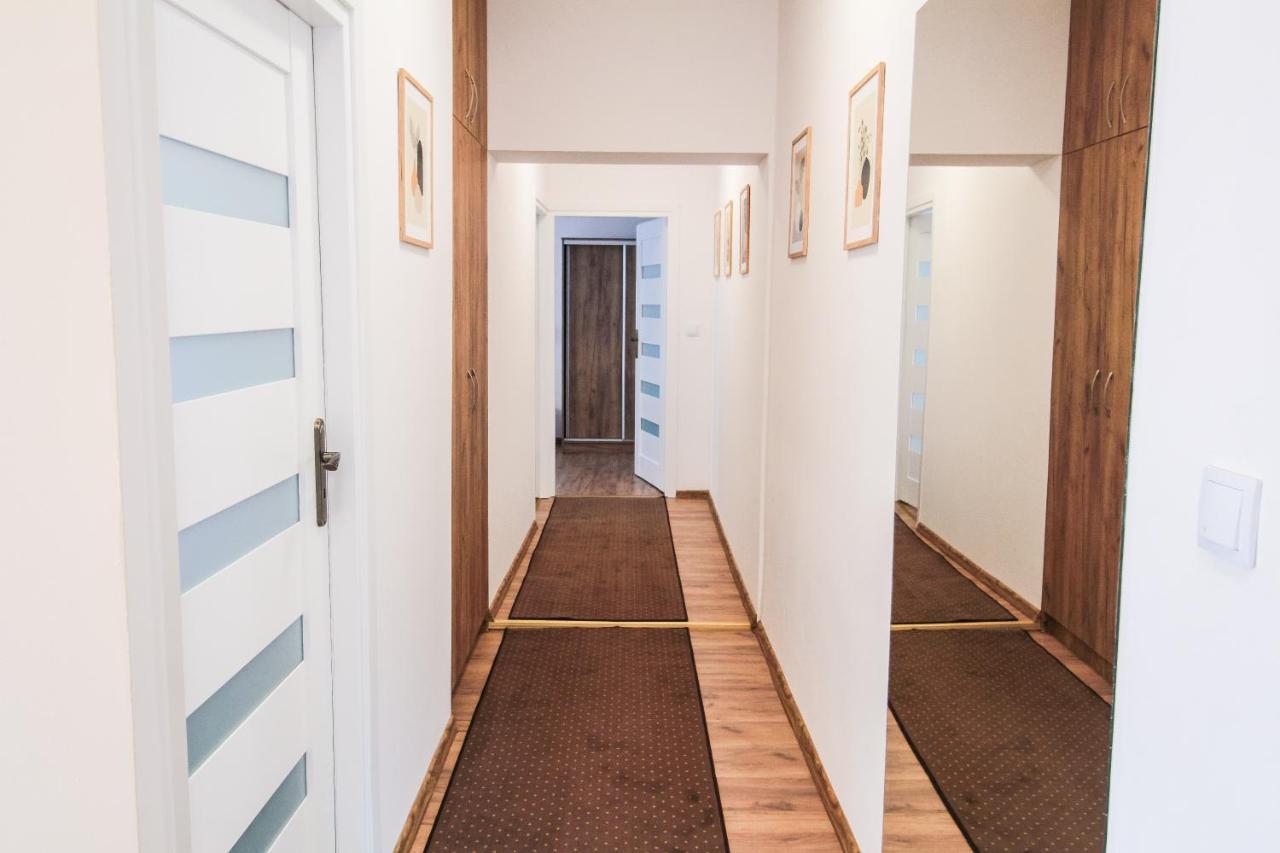 Apartmán Center Standard 6